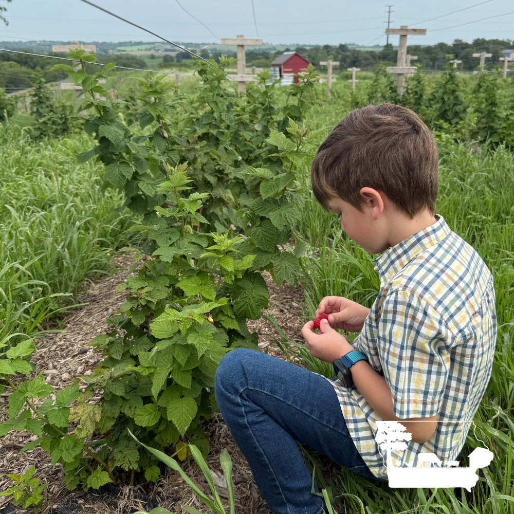 Seasonal Hand-Picked Produce Box – Des Moines, Iowa