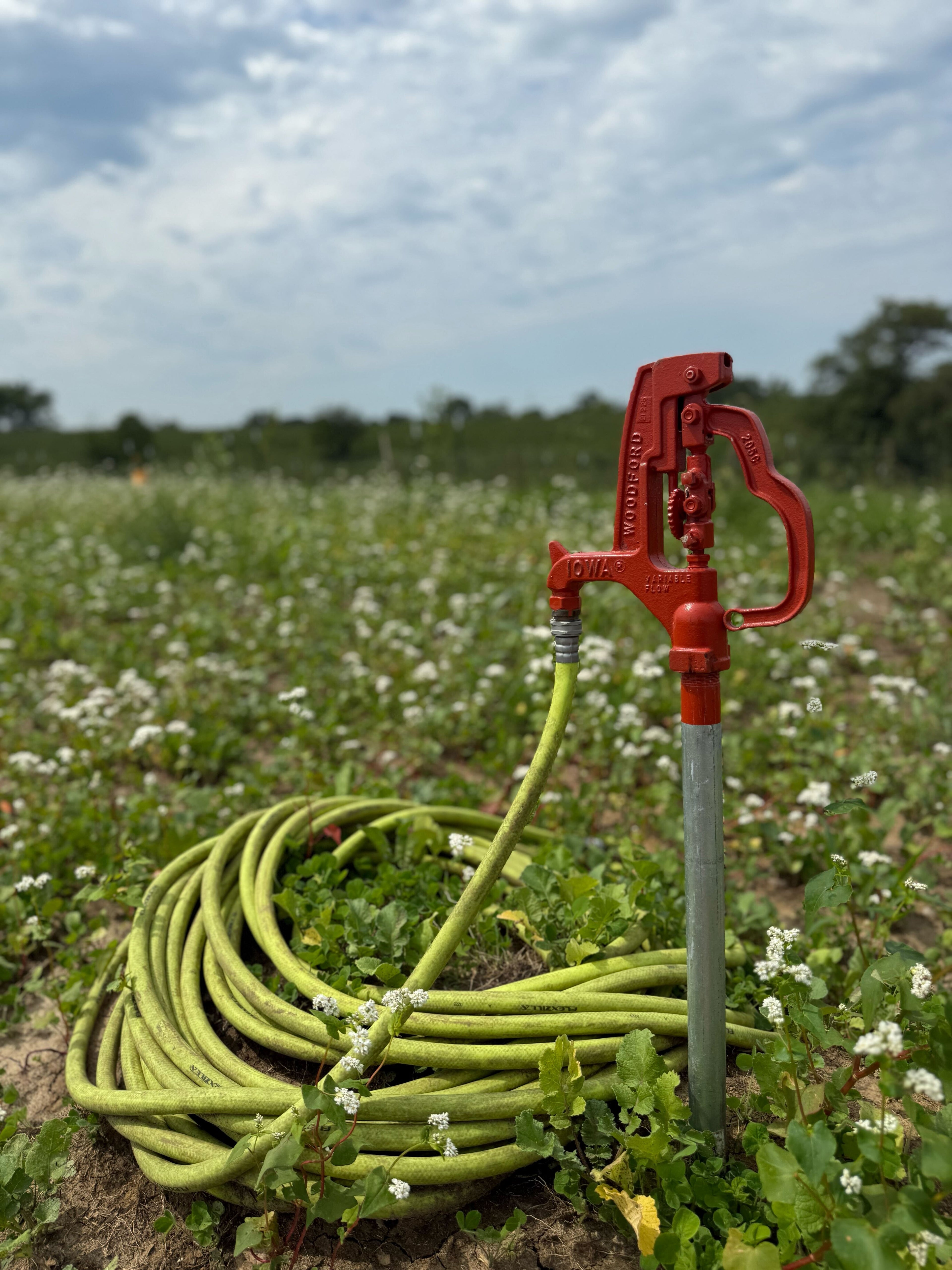 Red Iowa hand pump with green hose in a farm field