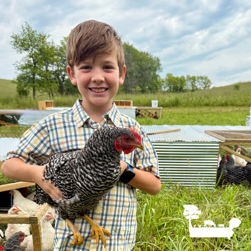 Regenerative Egg Subscription | 2 Dozen | Des Moines Area Delivery