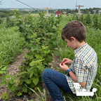 Seasonal Hand-Picked Produce Box – Des Moines, Iowa